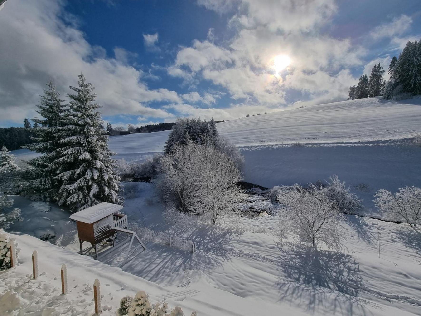 Ferienwohnung Am Bach Unterkirnach Екстериор снимка